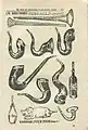 Page du catalogue de la Société de la Gaité Française, 65 rue du Faubourg-Saint-Denis, Paris 1927 : assortiment de bigotphones.
