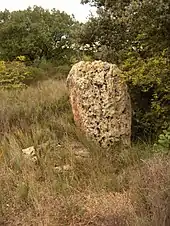 Menhir de Peyreficade.