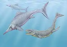 Caypullisaurus bonapartei