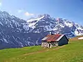 Vieux chalet d'alpage.