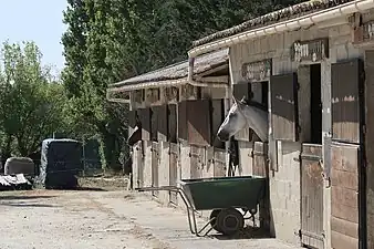 Centre équestre.