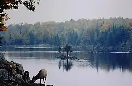 Image illustrative de l’article Parc Oméga