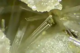 Image illustrative de l’article Cervantite