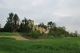 Les restes du château au début du XXIe siècle - Vue d'ensemble.