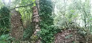 Vestiges du château