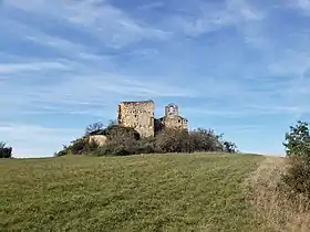 Image illustrative de l’article Château de Montsalvy
