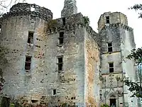 Les ruines du château.