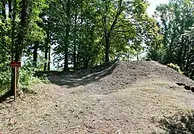 Image illustrative de l’article Château vieux de Clermont