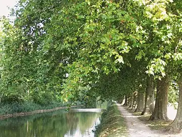 Chemin de halage du bief de Combleux en amont du pont de Chécy.