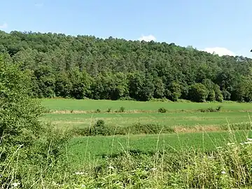 Ay sud du lieu-dit Foncrose, le vallon du ruisseau en bordure de la route départementale 3.