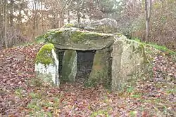 Image illustrative de l’article Dolmen du Champ-du-Ruisseau