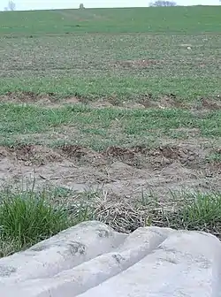 Polissoir et menhir de Chantecoq