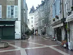 Photographie en couleurs d'une rue piétonne pavée.