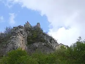 Image illustrative de l’article Château d'Hauterives (Lozère)