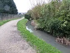 Chemin le long du bras vif