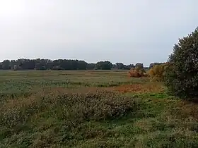 Grandes battures Tailhandier (au fond) depuis l'île de la Commune séparées par le chenal du Courant.