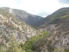 Canyon de la rivière Noire.