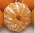 Kishu mikan