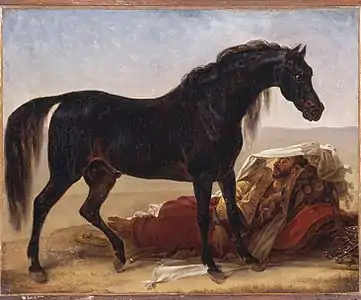 Cheval arabe, Antoine-Jean Gros, 1817.