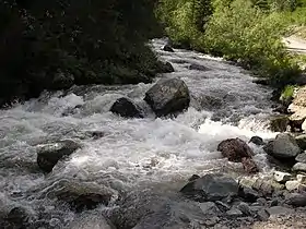 Image illustrative de l’article Tchibitka