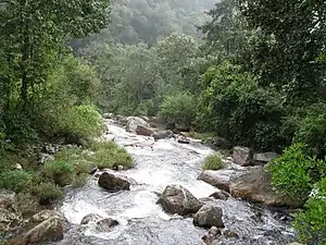 Les chutes Chinnakallar