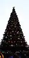 Sapin de Noël au Parc Disneyland (Paris).