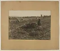Claire dans la lande photographiée par Charles Géniaux, son mari.