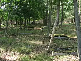 Stefanowice (Grande-Pologne)