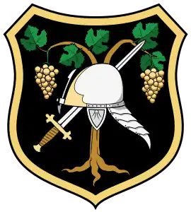 Image illustrative de l’article Famille Apafi