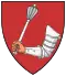 Blason de Vigántpetend