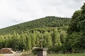 Image illustrative de l’article Puy de Laschamps