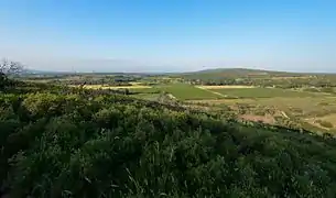 Garrigues et plaine à Montbazin dans l'Hérault.