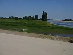 Confluence de la boire de Champtocé et de la Loire, à Ingrandes-sur-Loire.