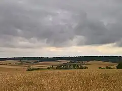 Autre vue éloignée du cimetière, peu avant la moisson
