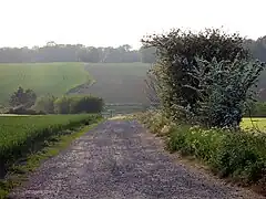 Tracé de l'ancienne chaussée Jules-César traversant la campagne.