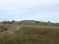 Le sommet du crêt de la Perdrix.