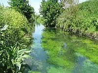 La rigole du Noirieux revient à l'air libre à Croix-Fonsomme.