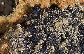 Image illustrative de l’article Cronstedtite