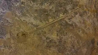 Forage à poudre noire.