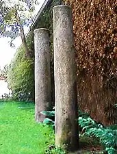 Colonnes du temple grec