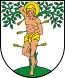 Blason de Blieskastel
