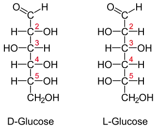 Projection de Fischer des deux énantiomères du glucose.