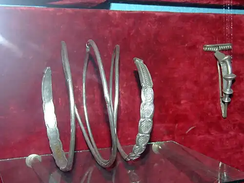 Bracelet dace au musée d'histoire de Cluj.