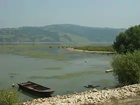 Zatonje