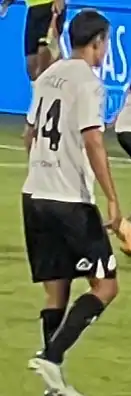 Image illustrative de l’article David Strelec