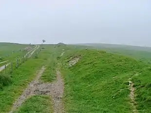 Image illustrative de l’article Digue d'Offa