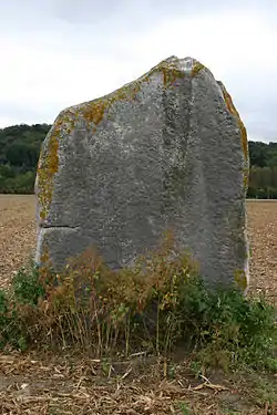 Le menhir dénommé la Demoiselle de Rhuis.