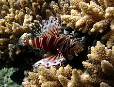 Île de la Réunion, France