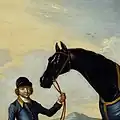 Détail du cheval du duc de Bolton Syphax, poulain noir, né en 1727, par Bay Bolton et Golden Locks, peint par Richard Roper, 1734.