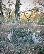 Dolmen de la Combe de l'Ours no 1